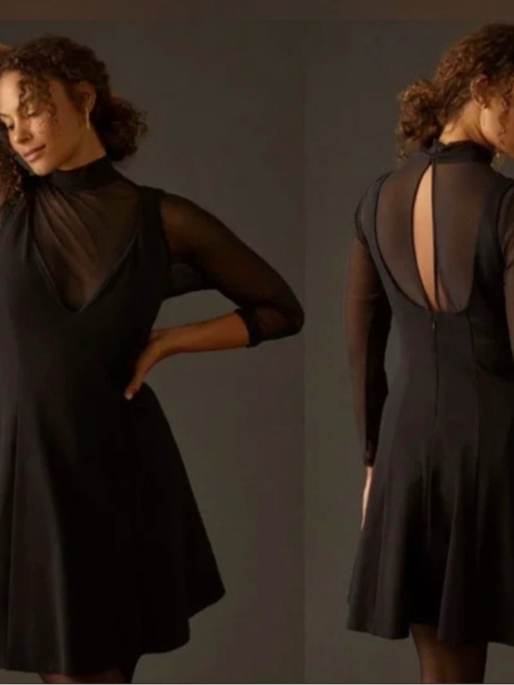 ANTHROPOLOGIE Maeve NWT Black Mesh-Sleeve Fit & Flare Dress